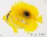  ( - MBIO1310)  @14 [ ] No Rights Reserved  Unspecified Unspecified