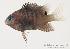  ( - MBIO0732)  @12 [ ] No Rights Reserved  Unspecified Unspecified
