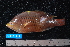  ( - NBE0028)  @13 [ ] No Rights Reserved  Unspecified Unspecified