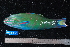  ( - NBE0033)  @13 [ ] No Rights Reserved  Unspecified Unspecified
