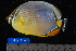  ( - NBE0046)  @13 [ ] No Rights Reserved  Unspecified Unspecified