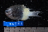  ( - NBE0056)  @13 [ ] No Rights Reserved  Unspecified Unspecified