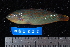  ( - NBE0238)  @11 [ ] No Rights Reserved  Unspecified Unspecified