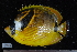  ( - NBE0347)  @11 [ ] No Rights Reserved  Unspecified Unspecified