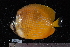  ( - NBE0359)  @11 [ ] No Rights Reserved  Unspecified Unspecified