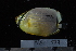  ( - NBE0573)  @13 [ ] No Rights Reserved  Unspecified Unspecified