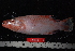  ( - NBE0615)  @12 [ ] No Rights Reserved  Unspecified Unspecified