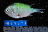  ( - NBE1072)  @13 [ ] No Rights Reserved  Unspecified Unspecified