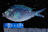  ( - NBE1076)  @14 [ ] No Rights Reserved  Unspecified Unspecified