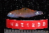  ( - NBE1233)  @13 [ ] No Rights Reserved  Unspecified Unspecified