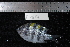  ( - REU1687)  @13 [ ] No Rights Reserved  Unspecified Unspecified