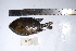  ( - REU0703)  @12 [ ] No Rights Reserved  Unspecified Unspecified