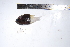  ( - REU0706)  @12 [ ] No Rights Reserved  Unspecified Unspecified