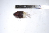  ( - REU0707)  @12 [ ] No Rights Reserved  Unspecified Unspecified