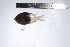  ( - REU0708)  @13 [ ] No Rights Reserved  Unspecified Unspecified