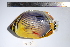  ( - REU0718)  @13 [ ] No Rights Reserved  Unspecified Unspecified