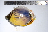 ( - REU0719)  @14 [ ] No Rights Reserved  Unspecified Unspecified