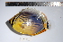  ( - REU0720)  @13 [ ] No Rights Reserved  Unspecified Unspecified
