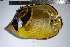  ( - REU0721)  @12 [ ] No Rights Reserved  Unspecified Unspecified