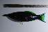  ( - REU0750)  @13 [ ] No Rights Reserved  Unspecified Unspecified