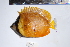  ( - REU0758)  @13 [ ] No Rights Reserved  Unspecified Unspecified