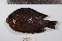  ( - REU0932)  @13 [ ] No Rights Reserved  Unspecified Unspecified