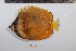  ( - REU0940)  @11 [ ] No Rights Reserved  Unspecified Unspecified