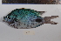  ( - REU0969)  @13 [ ] No Rights Reserved  Unspecified Unspecified