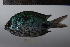  ( - REU0970)  @12 [ ] No Rights Reserved  Unspecified Unspecified