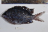  ( - REU0981)  @13 [ ] No Rights Reserved  Unspecified Unspecified