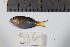  ( - REU0996)  @14 [ ] No Rights Reserved  Unspecified Unspecified