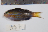  ( - REU0997)  @13 [ ] No Rights Reserved  Unspecified Unspecified