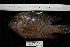  ( - REU001-1)  @13 [ ] No Rights Reserved  Unspecified Unspecified
