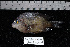  ( - REU005-1)  @13 [ ] No Rights Reserved  Unspecified Unspecified