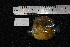  ( - REU104-1)  @12 [ ] No Rights Reserved  Unspecified Unspecified