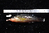  ( - REU0110)  @13 [ ] No Rights Reserved  Unspecified Unspecified