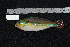  ( - REU145-1)  @13 [ ] No Rights Reserved  Unspecified Unspecified