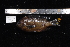  ( - REU207-1)  @12 [ ] No Rights Reserved  Unspecified Unspecified