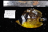  ( - REU209-1)  @11 [ ] No Rights Reserved  Unspecified Unspecified