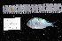  ( - REU269-1)  @13 [ ] No Rights Reserved  Unspecified Unspecified