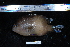  ( - REU2784)  @14 [ ] No Rights Reserved  Unspecified Unspecified