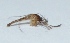  ( - V11MO9)  @12 [ ] Copyright (2013) Dr.G.D. Khedkar Paul Hebert Center for DNA Barcoding and Biodiversity Studies