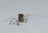  ( - V11MO9)  @12 [ ] Copyright (2013) Dr.G.D. Khedkar Paul Hebert Center for DNA Barcoding and Biodiversity Studies
