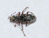 ( - W7BO73)  @12 [ ] Copyright (2013) Dr.G.D. Khedkar Paul Hebert Center for DNA Barcoding and Biodiversity Studies
