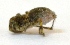  ( - M2JA12)  @12 [ ] Copyright (2013) Dr.G.D. Khedkar Paul Hebert Center for DNA Barcoding and Biodiversity Studies