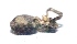  ( - M2JA13)  @12 [ ] Copyright (2013) Dr.G.D. Khedkar Paul Hebert Center for DNA Barcoding and Biodiversity Studies