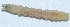  ( - V9SA19)  @12 [ ] Copyright (2013) Dr.G.D. Khedkar Paul Hebert Center for DNA Barcoding and Biodiversity Studies