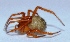  ( - M9KE67)  @12 [ ] Copyright (2013) Dr.G.D. Khedkar Paul Hebert Center for DNA Barcoding and Biodiversity Studies