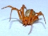  ( - M9KE67)  @12 [ ] Copyright (2013) Dr.G.D. Khedkar Paul Hebert Center for DNA Barcoding and Biodiversity Studies