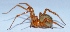  ( - M9KE67)  @12 [ ] Copyright (2013) Dr.G.D. Khedkar Paul Hebert Center for DNA Barcoding and Biodiversity Studies